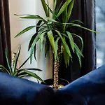Apartamento Apartamenty Arte - Unia Art Residence 121 - Garaz Faktura Vat *