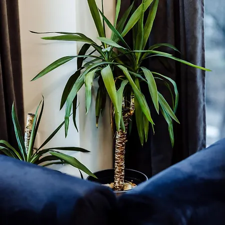 Daire Arte Unia Art 121- Faktura Vat Garaz *