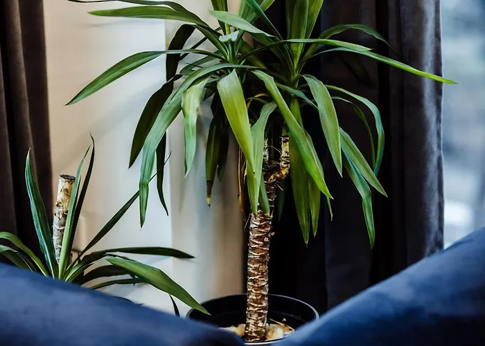 Apartment Arte Unia Art 121- Faktura Vat Garaz *